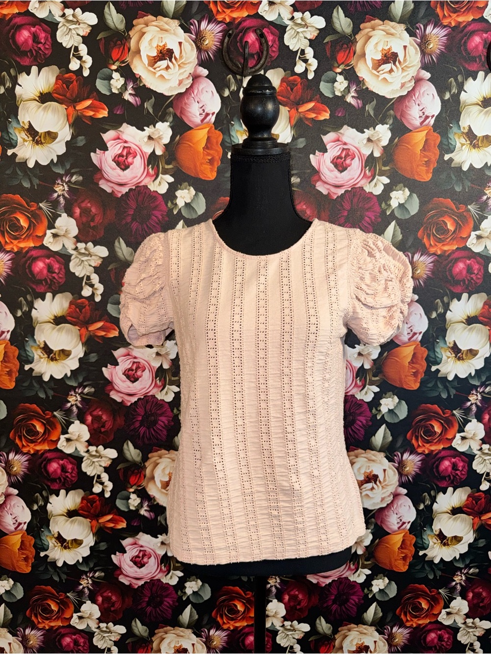 Express Light Blush Eyelet Puff-Sleeve Knit Top, M